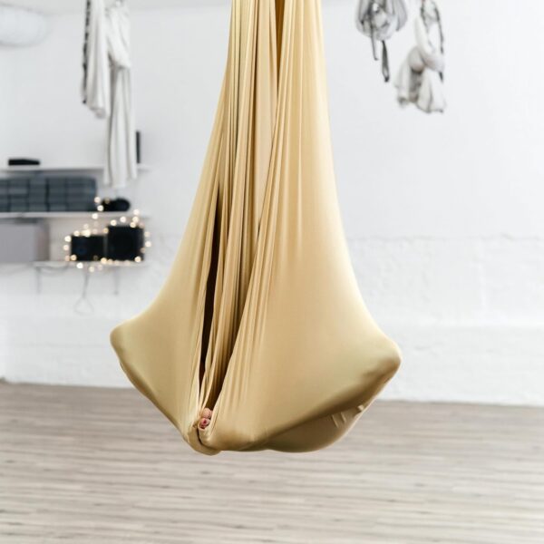 aerial swing gold hammock 1